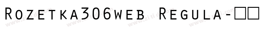 Rozetka306web Regula字体转换